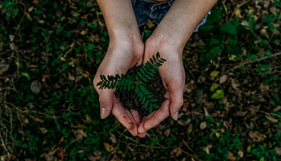 Recycling and sustainable materials